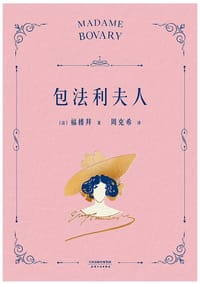 书籍 包法利夫人的封面
