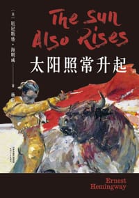 书籍 太阳照常升起的封面