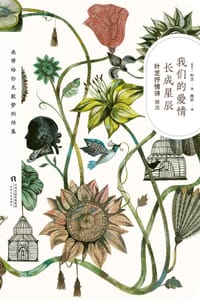 书籍 我们的爱情长成星辰的封面