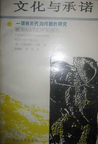 书籍 文化与承诺的封面