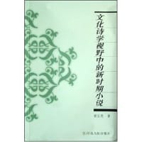文化诗学视野中的新时期小说