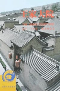 书籍 王家大院的封面