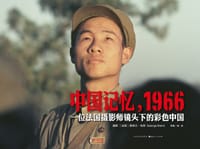 书籍 中国记忆，1966的封面