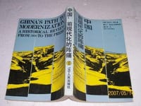 中国：前现代化的阵痛 - （美）沃拉