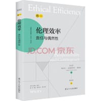 负责任创新（RRI)译丛：《伦理效率：责任与偶然性》