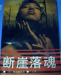 书籍 断崖落魂的封面