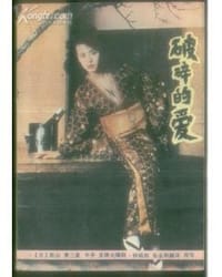 书籍 破碎的爱的封面