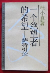 书籍 一个绝望者的希望的封面