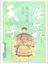 书籍 苦命天子的封面