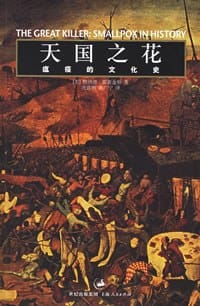 书籍 天国之花的封面