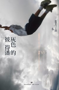 书籍 灰色的彼得潘的封面