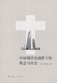 书籍 中国现代化视野下的教会与社会的封面