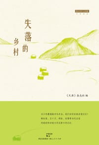 书籍 失落的乡村的封面