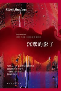 书籍 沉默的影子的封面