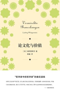 书籍 论文化与价值的封面