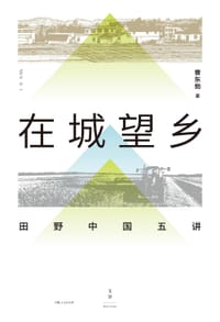 书籍 在城望乡的封面