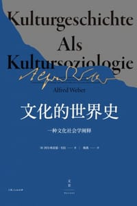 书籍 文化的世界史的封面