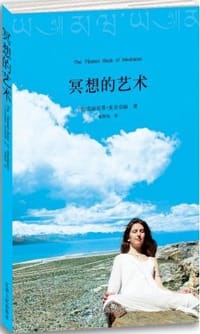 冥想的艺术 - [美]克丽丝蒂·麦克奈丽