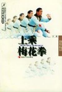 上乘梅花拳