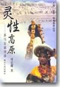 书籍 灵性高原的封面