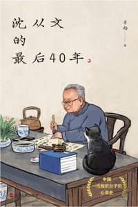 书籍 沈从文的最后40年的封面