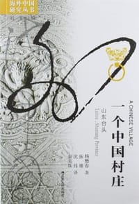 书籍 一个中国村庄的封面