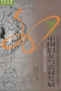 书籍 中国妇女与农村发展的封面