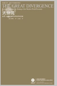 书籍 大分流的封面