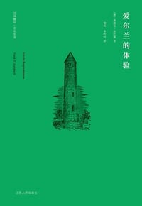 书籍 爱尔兰的体验的封面