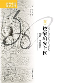 书籍 饶家驹安全区的封面