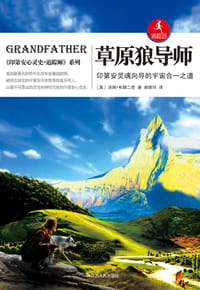 书籍 草原狼导师的封面