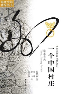 书籍 一个中国村庄的封面