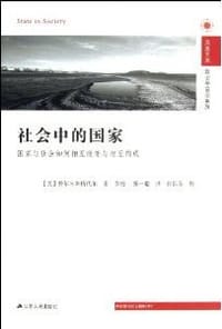 社会中的国家