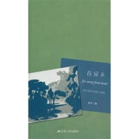书籍 在异乡的封面