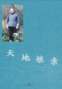 天地娘亲 - 李子银