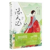 书籍 洛天记的封面