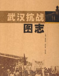 书籍 武汉抗战图志的封面