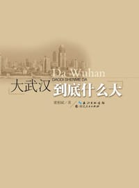 大武汉到底什么大