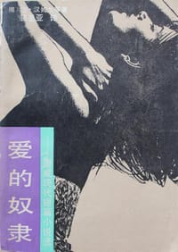 书籍 爱的奴隶的封面