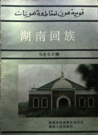 书籍 湖南回族的封面