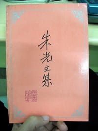 朱光文集
