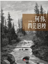 何伟，再见涪陵（中国故事） - 刘晋锋