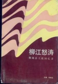 柳江怒涛
