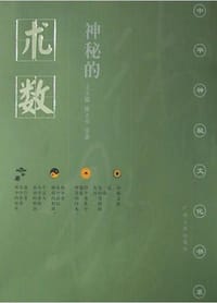 书籍 神秘的术数的封面