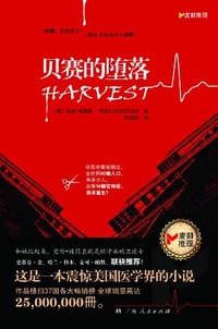 书籍 贝赛的堕落的封面