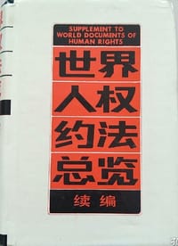 世界人权约法总览