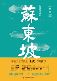 书籍 苏东坡的封面