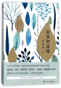 书籍 寂寞和温暖(汪曾祺精选集)的封面