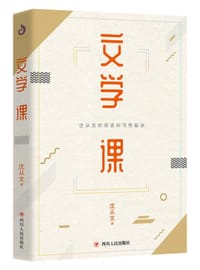 书籍 文学课的封面