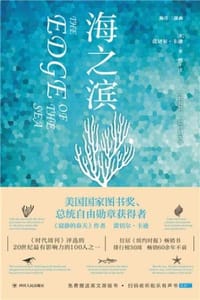 书籍 海之滨的封面
